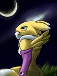  digimon moltsi renamon tagme 