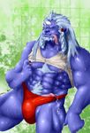  final_fantasy_x kimahri ronso tagme 