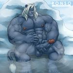  final_fantasy_x grisser ronso tagme 