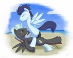  foxkin friendship_is_magic my_little_pony soarin thunderlane 