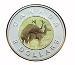 canada coin deer fakes money toonie 