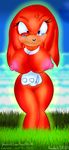  knuckles_the_echidna rule_63 simpiko sonic_team supersonicrulaa 