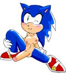  perverted_bunny sonic_team sonic_the_hedgehog tagme 