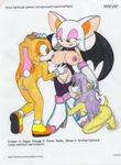  cream_the_rabbit mina_mongoose rouge_the_bat sonic_team vkyrie 