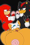  knuckles_the_echidna rouge_the_bat shadow_the_hedgehog sonic_team supersonicrulaa 