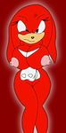  knuckles_the_echidna rule_63 sonic_team supersonicrulaa tagme 