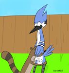  barsikrus mordecai regular_show rigby tagme 