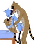  don mordecai regular_show rigby tagme 