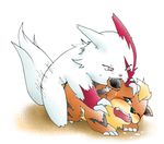  growlithe pokemon tagme zangoose 