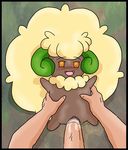  mycrunchycookie pokemon tagme whimsicott 