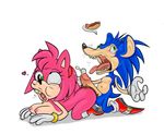  amy_rose sif sonic_team sonic_the_hedgehog tagme 