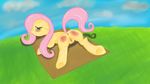  fluttershy friendship_is_magic madsaurax my_little_pony tagme 