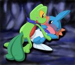  mudkip pokemon pokemon_mystery_dungeon tagme treecko 