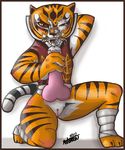  2010 anthro bottomless cum cum_in_face disembodied_penis dreamworks duo erection faceless_male female handjob kneeling kung_fu_panda male master_tigress penis peterson plain_background pussy sex straight white_background 