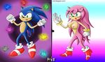  reit rule_63 sonic_team sonic_the_hedgehog tagme 