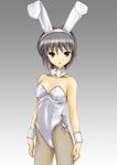  animal_ears bangs bunny_ears bunnysuit face fishnet_pantyhose fishnets kishida-shiki nagato_yuki pantyhose short_hair silver_hair solo suzumiya_haruhi_no_yuuutsu yellow_eyes 