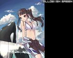  bikini_top breasts brown_eyes brown_hair cleavage day kimidorin long_hair medium_breasts midriff navel orca original ponytail solo wetsuit 