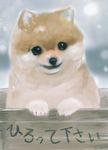  animal_focus copyright_request dog no_humans noisen smile snow 