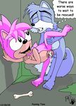  amy_rose kthanid sonic_cd sonic_team tagme 