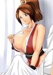  king_of_fighters mai_shiranui tagme 