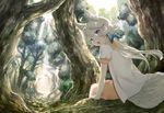  animal_ears blue_eyes day fang forest fox_ears fox_tail hair_ribbon light_trail long_hair looking_back mikurou_(nayuta) nature open_mouth original outdoors ponytail ribbon scenery short_sleeves sitting smile solo tail tree white_hair 