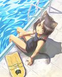  :3 animal_ears black_school_swimsuit brown_hair cat_ears copyright_request from_above kickboard looking_at_viewer looking_up nyaou one-piece_swimsuit pool pool_ladder poolside school_swimsuit shadow slit_pupils solo swimsuit tail water yellow_eyes 