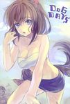  ame_yamori animal_ears bandages blue_eyes braid breasts brioche_d'arquien brown_hair cleavage copyright_name dog_days large_breasts long_hair single_braid solo tail wet 