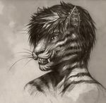  ear_piercing eyebrow_piercing facial_piercing fangs feline hair harag industrial_piercing licking male mammal monochrome nose_piercing piercing short_hair solo tiger tongue whiskers 