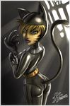  female gloves hood katnappe latex looking_at_viewer rubber solo standing xiaolin_showdown 