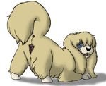  anatomically_correct_pussy animal_genitalia anus blue_eyes canine canine_pussy disney dog female feral lady_and_the_tramp lhasa_apso mammal marjani peg pomeranian presenting pussy raised_tail solo spread_legs spreading 
