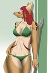  canine clothed clothing coyote crooked_red_wulf crookedredwulf ear_piercing female hair industrial_piercing malani mammal melanie piercing polearm red_hair skimpy spear swimsuit tribal 