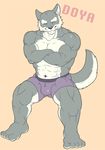  anthro bicep biceps big_muscles boxers bulge canine crossed_arms doya fur grey_fur male mammal muscles pecs pose sitting solo topless underwear white_fur wolf 