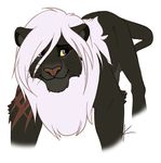  feline feral fur knon lion lion_king_style male mammal mane purple_eyes scar smile solo white_fur 
