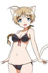  :d ahoge animal_ears bikini black_bikini blue_eyes bow braid breasts brown_hair long_hair lynette_bishop medium_breasts navel open_mouth ribbon single_braid smile solo strike_witches swimsuit tail tokiani world_witches_series 