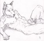  balls black_and_white black_nose butt canine claws flaccid lying male mammal monochrome nipples nude on_back paws penis penis_tip reclining semiotica sheath solo 