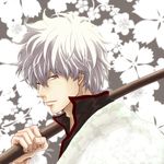  bokken cherry_blossoms flower gin2point gintama japanese_clothes male_focus red_eyes sakata_gintoki silver_hair solo sword weapon wooden_sword 