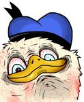  dolan duck hat looking_at_viewer male meme rape_face red_eyes solo unknown_artist white_feathers 