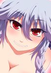  braid breasts cleavage face grey_hair grin hayashi_custom izayoi_sakuya medium_breasts red_eyes smile solo stuffed_toy touhou twin_braids 