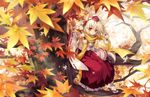  animal_ears autumn_leaves blush detached_sleeves hat in_tree inubashiri_momiji japanese_clothes leaf maple_leaf outdoors red_eyes ribbon-trimmed_sleeves ribbon_trim riv sandals scarf short_hair sitting sitting_in_tree solo tabi tail tokin_hat touhou tree white_hair white_legwear wolf_ears wolf_tail yellow_scarf 