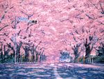  bad_id bad_pixiv_id bus cherry_blossoms fence ground_vehicle motor_vehicle no_humans original petals real_world_location scenery sign tokyo_(city) tree 