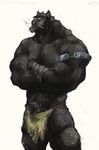  anthro aokmaidu balls bandage belt biceps big_cat big_muscles big_penis black black_fur bulge clothed clothing erection feline fur green_eyes half-dressed leaking loincloth male mammal muscles panther pecs penis plain_background pose precum solo standing topless uncut underwear white_background 