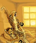  balls bed cheetah feline fleetfoot king_cheetah male mammal morning nude open_mouth stretching swiftfoot yawn 