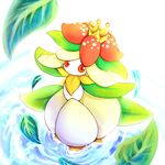  leaf lilligant no_humans pokemon pokemon_(creature) red_eyes shipii_(jigglypuff) water 