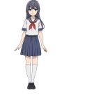 1girl anime_coloring black_hair blue_eyes blue_skirt breasts closed_mouth full_body loafers long_hair looking_at_viewer makinohara_shouko medium_breasts official_art pleated_skirt school_uniform seishun_buta_yarou serafuku shirt shoes short_sleeves sidelocks simple_background skirt smile socks solo standing tamura_satomi transparent_background white_serafuku white_shirt white_socks 