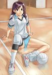  artist_request blue_eyes brown_hair buruma legs long_hair non-web_source original sitting solo volleyball 