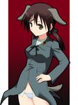  animal_ears brown_eyes gertrud_barkhorn hyokkori_tamago military military_uniform no_pants panties solo strike_witches tail underwear uniform world_witches_series 