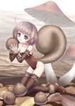  :o acorn ahoge bare_shoulders breasts brown_eyes cleavage copyright_request detached_sleeves flat_chest kneeling leotard minigirl mushroom plastic_moon purple_hair short_hair small_breasts solo squirrel tail thighhighs 