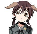  animal_ears artist_request brown_eyes brown_hair gertrud_barkhorn military military_uniform ribbon solo source_request strike_witches twintails uniform world_witches_series 