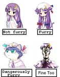  a_cat_is_fine_too haa-san_(sketchbook_full_colors) lowres meme parody patchouli_knowledge shigurui sketchbook_full_colors touhou 