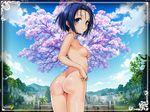  1girl ass breasts female hair_ornament naked nipples nude nude_filter photoshop purple_eyes sairenji_haruna sega shining_(series) shining_blade shrine solo to_love-ru to_love-ru_darkness tree yabuki_kentarou 